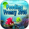 Feeding Frenzy 2016 HD