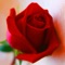Powerful Audio and Visuals together will help you manifest the Love you want in your life