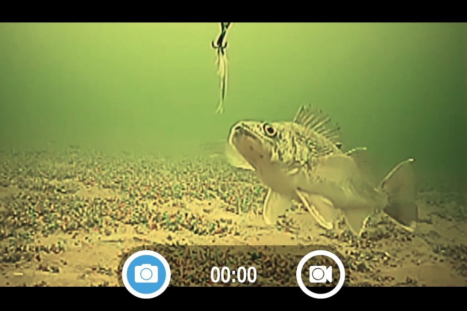 FishSens SondeCAM screenshot 2