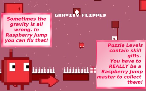 Raspberry Jump screenshot 3
