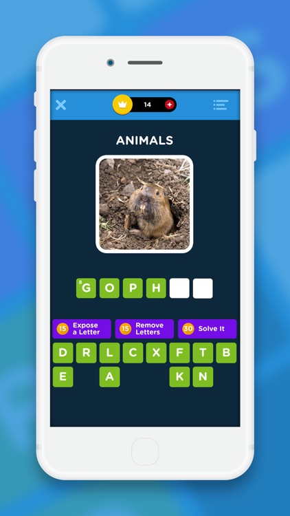 Crossword Quiz - Crossword Puzzle