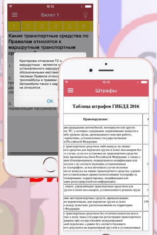Экзамен по ПДД билеты ГИБДД - Россия 2016 screenshot 3