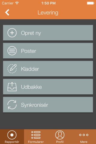 DS Stålprofil Report screenshot 3