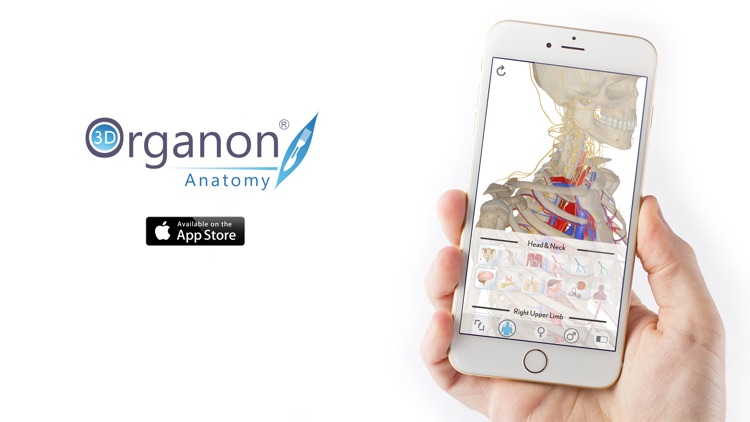 3D Organon Anatomy - Skeleton, Bones, and Ligaments screenshot-3