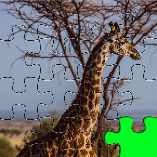 Safari Jigsaw Adventure For Animal Lovers iOS App