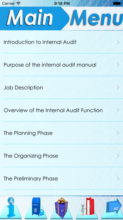 Internal Audit Manual & Process