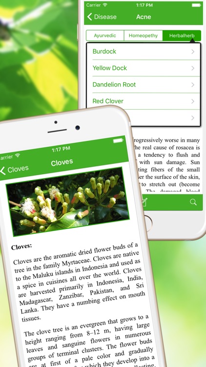 Natural Ayurvedic Remedies Herb screenshot-3