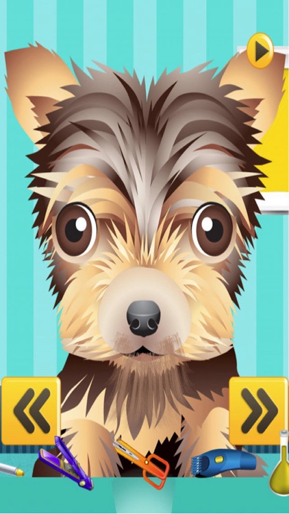 A Cute Puppy Shave Salon - eXtreme Makeover Spa Games Edition screenshot-4