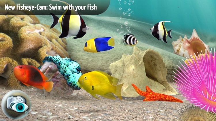 MyReef 3D Aquarium 3