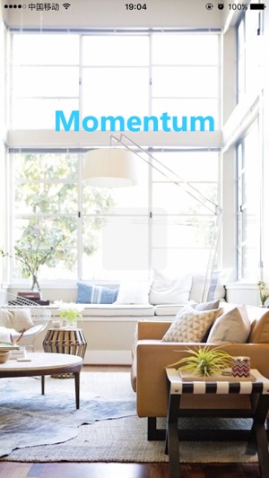 Momentum Camera