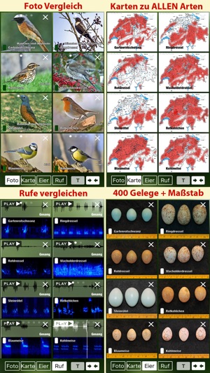 Alle Vögel Schweiz - ein vollständiger Naturführer zu allen (圖2)-速報App