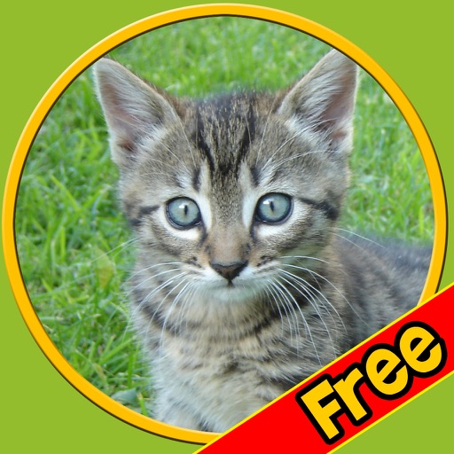 captivating cats for kids - free icon