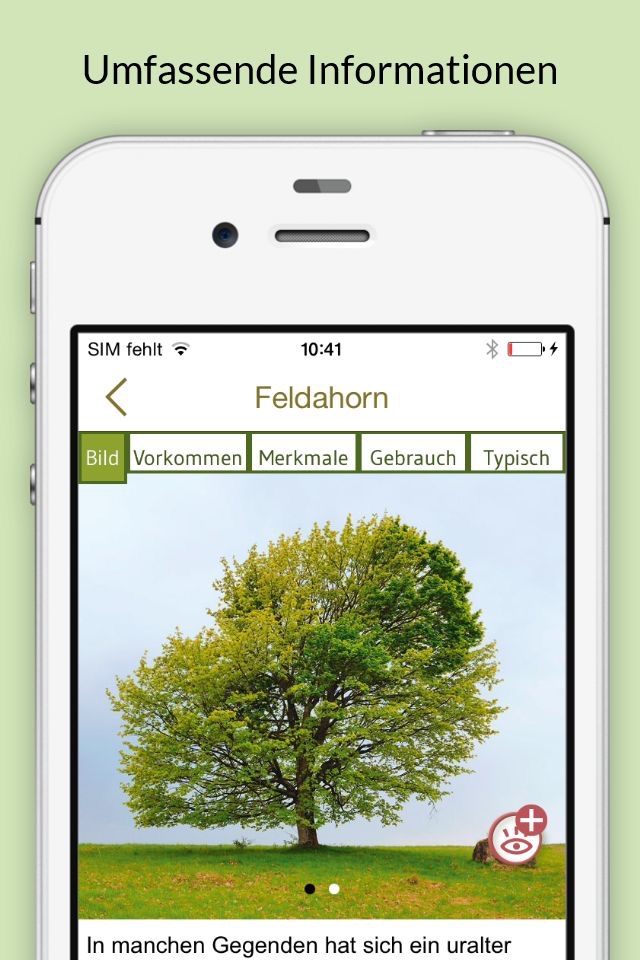 Bäume & Sträucher bestimmen – entdecken Sie die Natur und erkennen Sie welche Pflanzen, Blätter und Hölzer Sie umgeben screenshot 2