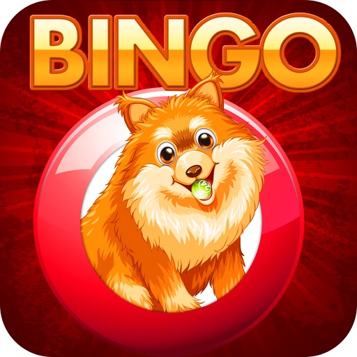 Doge Bingo Pro - Free Bingo Game iOS App