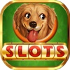 Cute Puppy Store : 777 Lucky Vegas Casino and Mega Daily Bonus Free