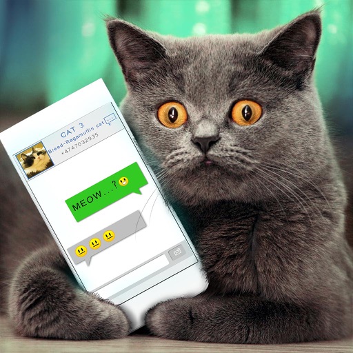 Simulator Virtual Cat Joke iOS App