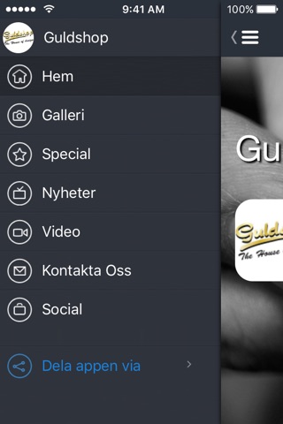 Guldshop screenshot 2