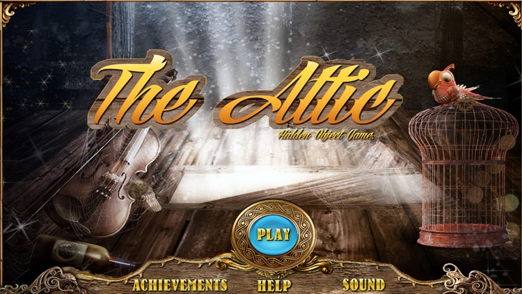 The Attic Hidden Object Game