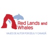 Red Lands and Whales