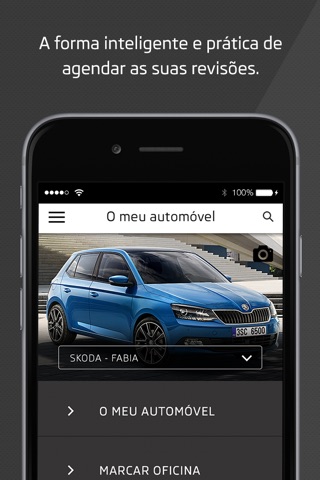 Skoda Link screenshot 2