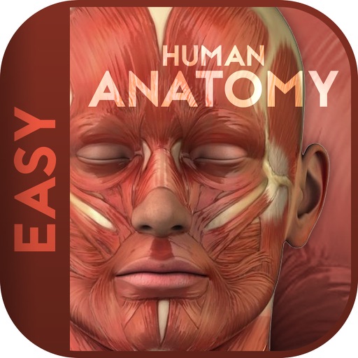 Human Anatomy 2015 by Video