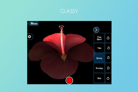 Hibiscus 3D screenshot 4