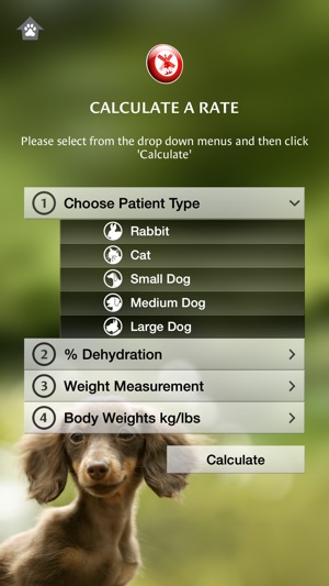 Animal IV(圖2)-速報App
