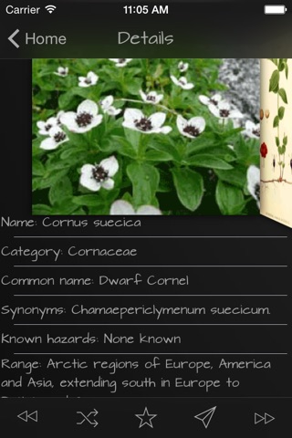 Medicinal Herbs Guide screenshot 3