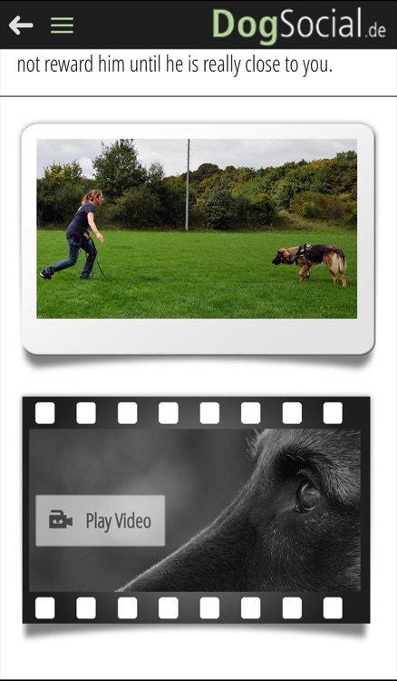DogSocial Dog Training - Teaching the Basic Commands