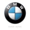 BMW Esher