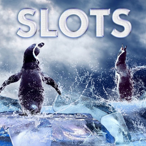 Ice Animals - FREE Slot Game Wild Panda Poker icon