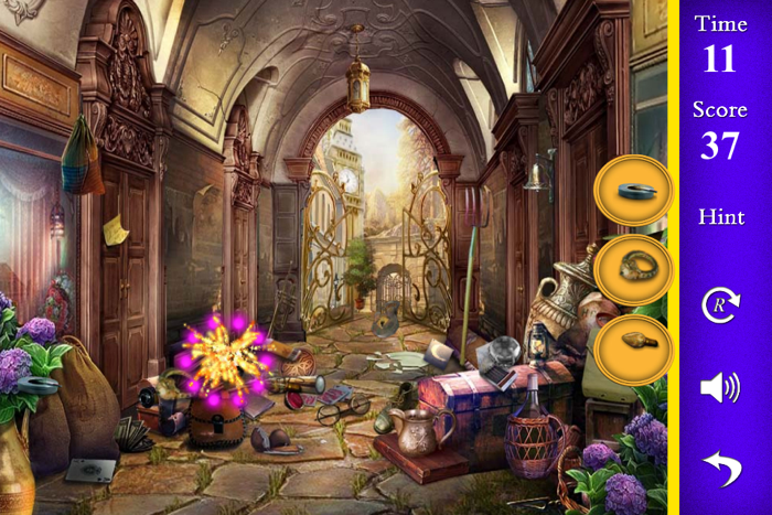 Mistry House Hidden Objects