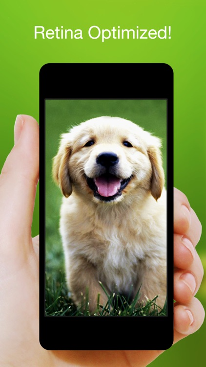 Wallpapers℗