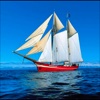 Sailboats Collection Pro