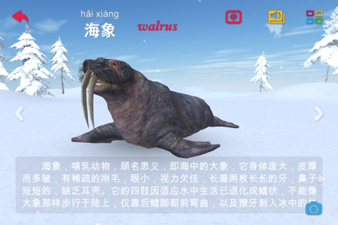 3D动物园-儿童早教双语三维认识动物 screenshot 3