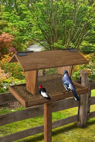 FeederVu - Birds of North America in 3D screenshot 4