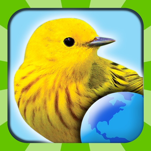 My Bird World