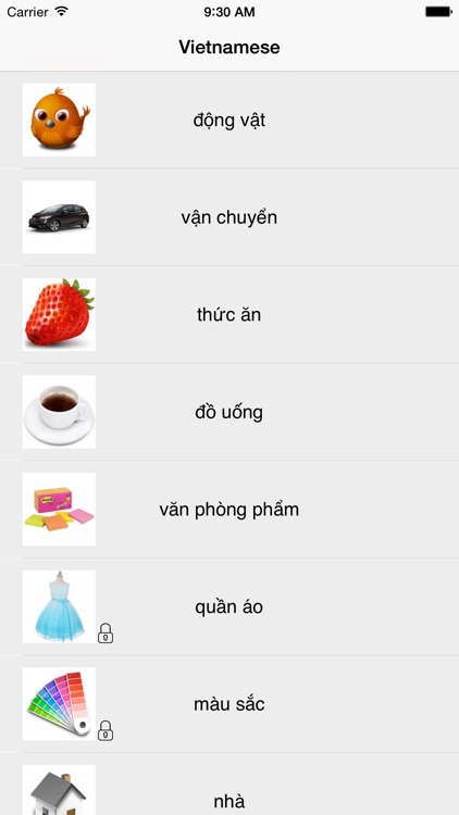 Learning Vietnamese Basic 400 Words