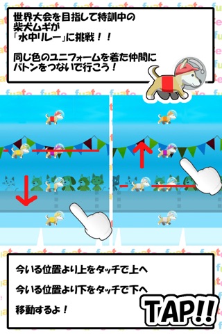 柴犬ムギ - 水中リレー世界大会への挑戦 screenshot 3