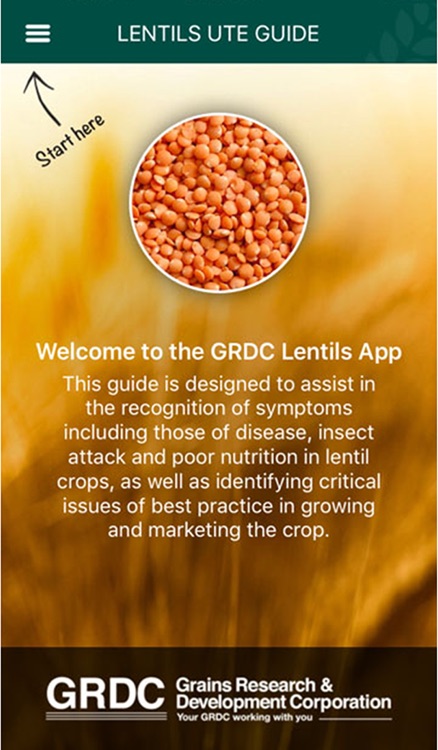 GRDC Lentils Ute Guide