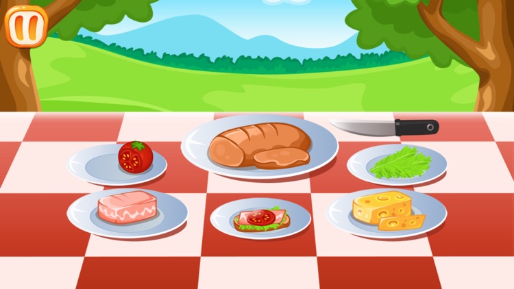 Panini Cook