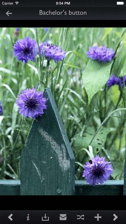 Plant Encyclopedia Pro