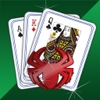 New Spider Solitaire Carnival - Grand Card Playing Game