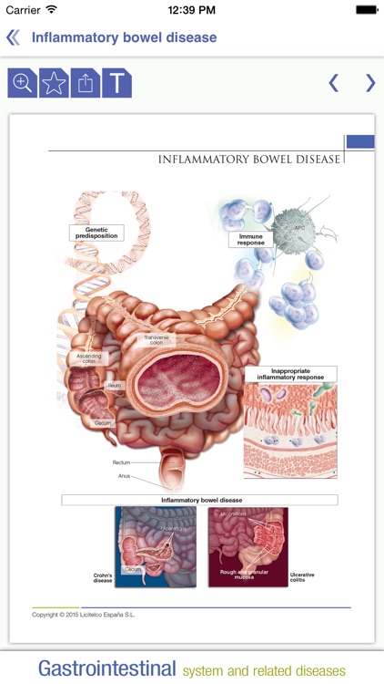 Gastrointestinal system Miniatlas