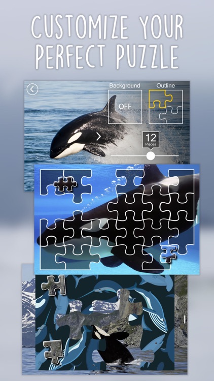 Orca Puzzles for Kids Free Jigsaw Wonder Edition