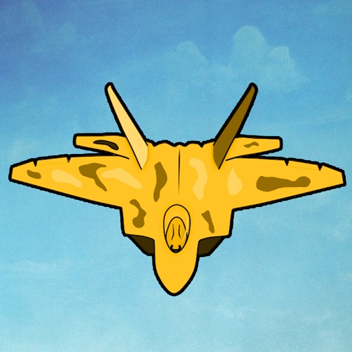 Fighter Aircraft Icon