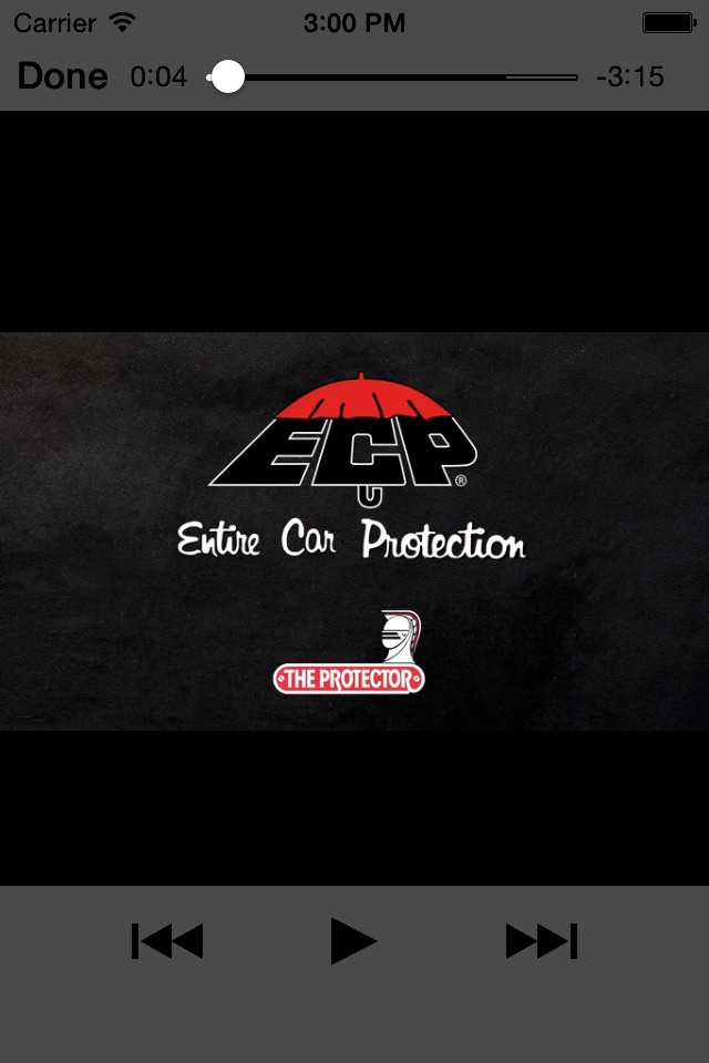 The Protector - ECP screenshot 3