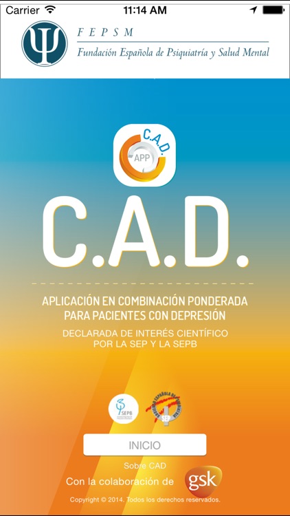 CAD - Combinaciones de Antidepresivos