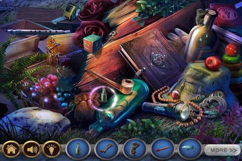 Case Of The Full Moon Murders, Hidden Crimes screenshot 2