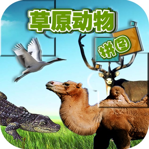 IQ Challenge - grassland Animal Fun Puzzle (Free) icon